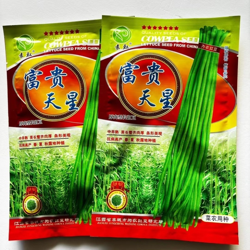 豇豆种子白花耐热品种，翠绿色条，种子品种，