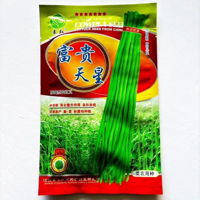 豇豆种子白花耐热品种，翠绿色条，种子品种，
