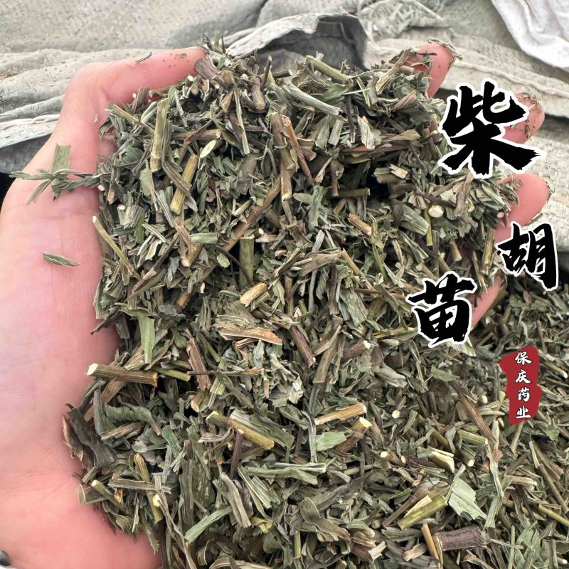 柴胡苗保庆药业批发柴胡叶柴胡柴胡杆干净无杂质