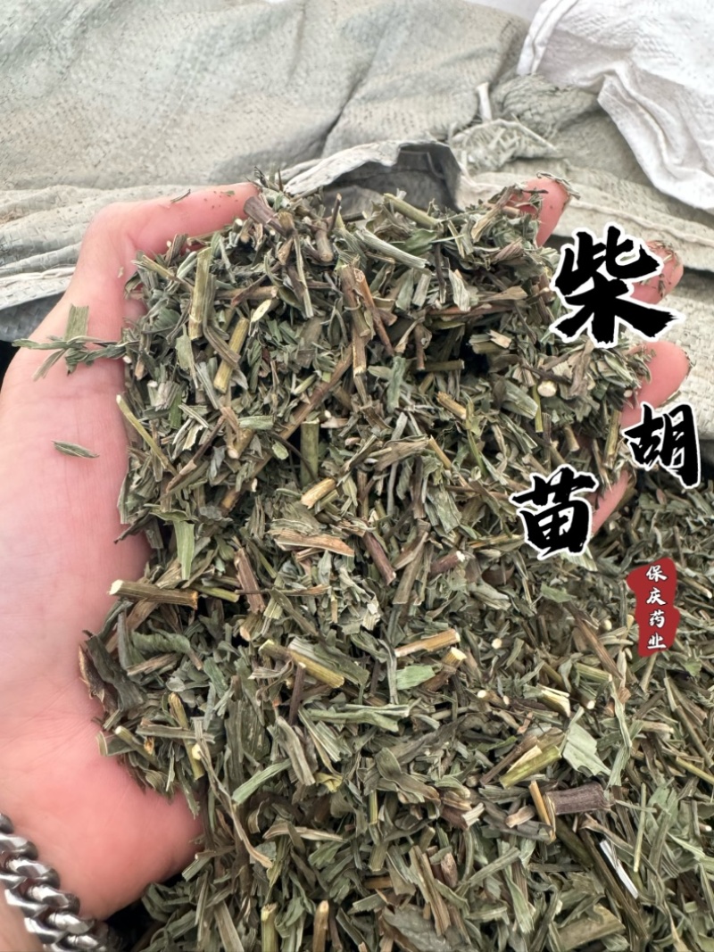 柴胡苗保庆药业批发柴胡叶柴胡柴胡杆干净无杂质