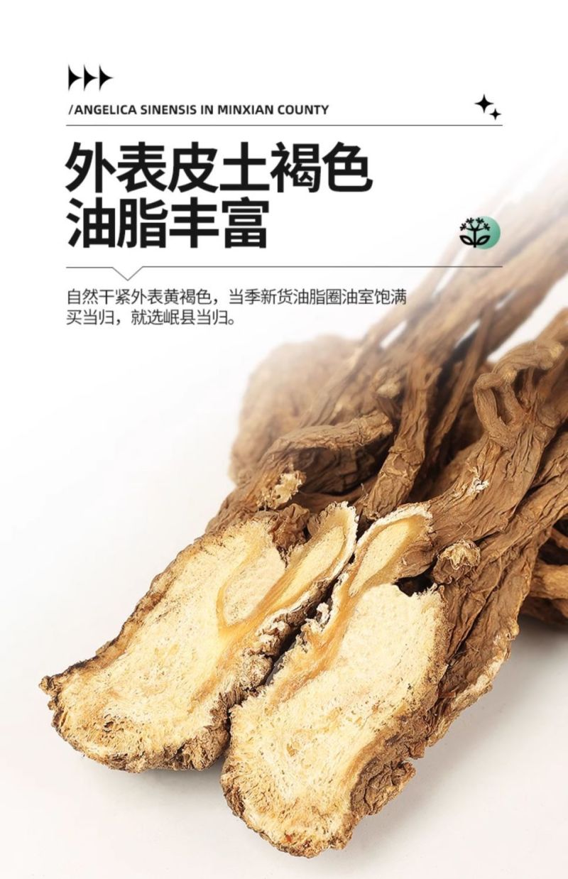 甘肃岷县当归整枝大当归产地批发规格全自然晒干