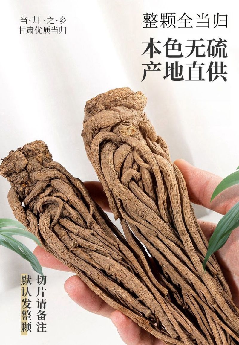 甘肃岷县当归整枝大当归产地批发规格全自然晒干