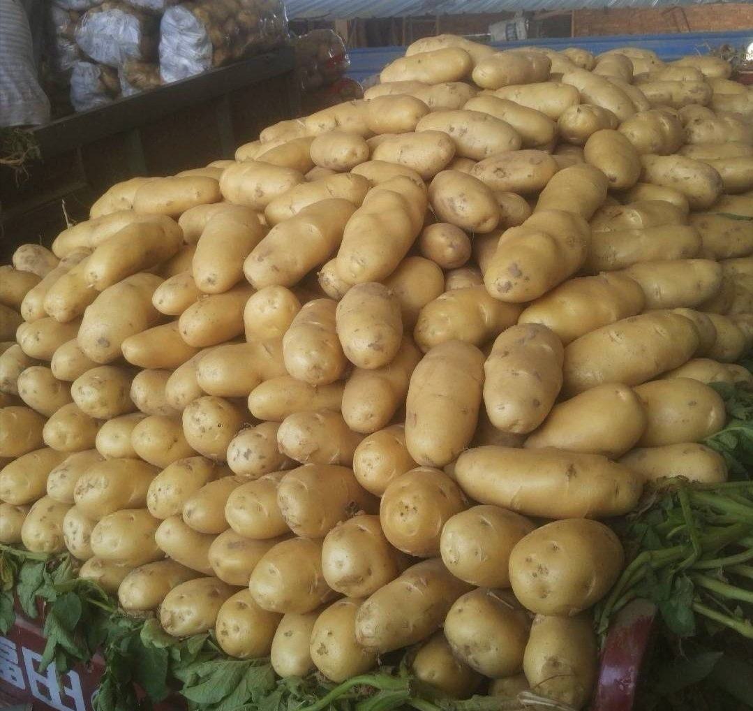 富硒土豆成品展示