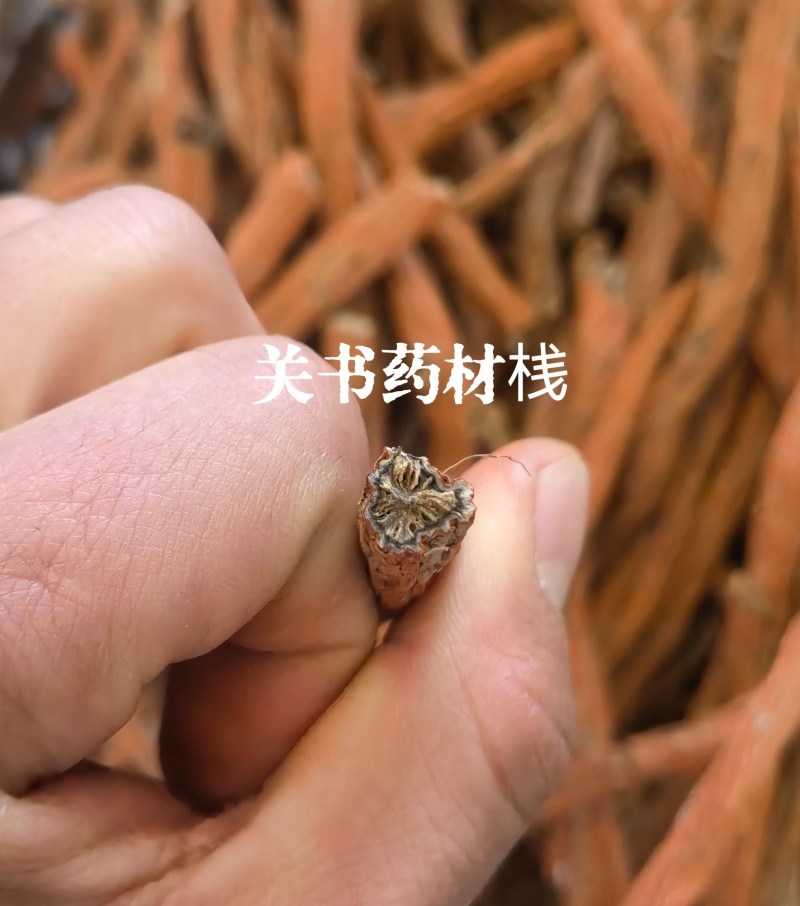 山东紫丹参个，选条丹参关书药材桟批发中药材………………
