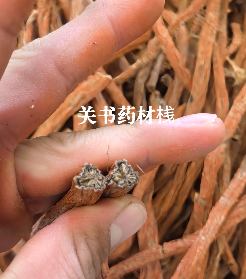 山东紫丹参个，选条丹参关书药材桟批发中药材………………