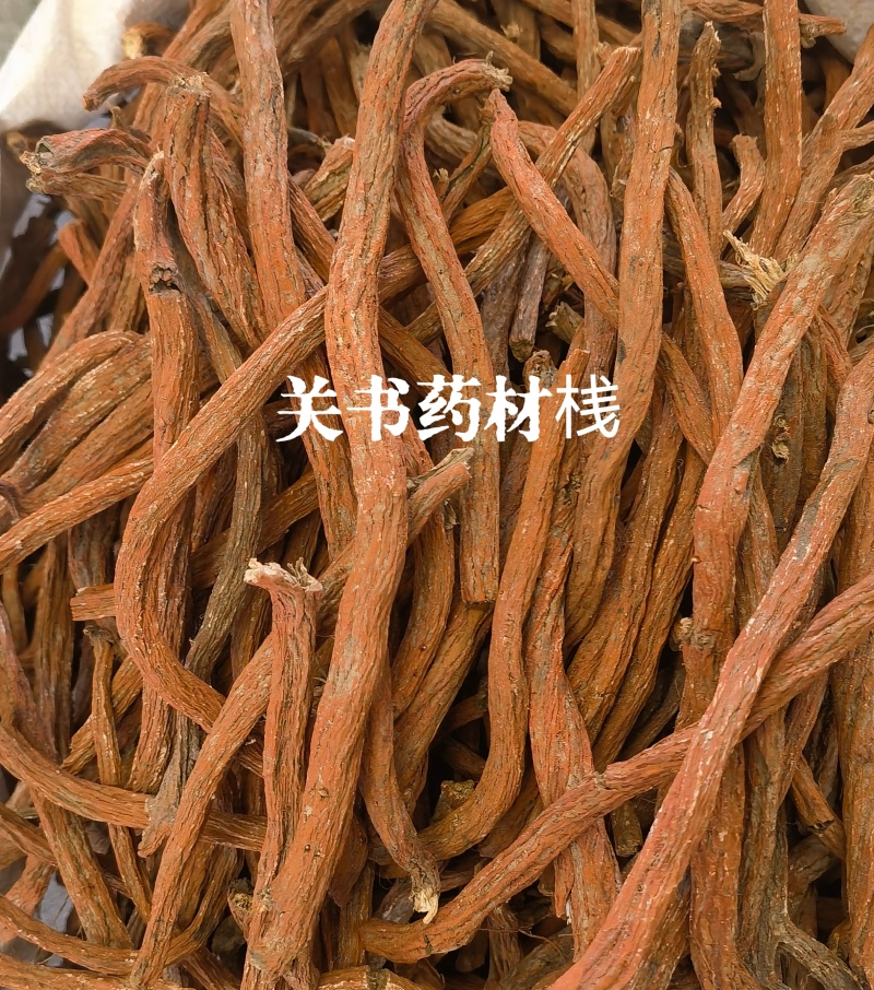 山东紫丹参个，选条丹参关书药材桟批发中药材………………
