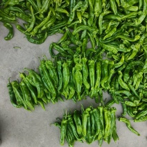 301泡椒薄皮辣椒，全国基地直发，电商货市场货食堂货