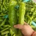 301泡椒薄皮辣椒，全国基地直发，电商货市场货食堂货