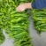 301泡椒薄皮辣椒，全国基地直发，电商货市场货食堂货