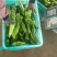 301泡椒薄皮辣椒，全国基地直发，电商货市场货食堂货