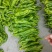 301泡椒薄皮辣椒，全国基地直发，电商货市场货食堂货