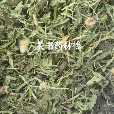 蒲公英，新货，颜色好，批发中药材关书药业……………