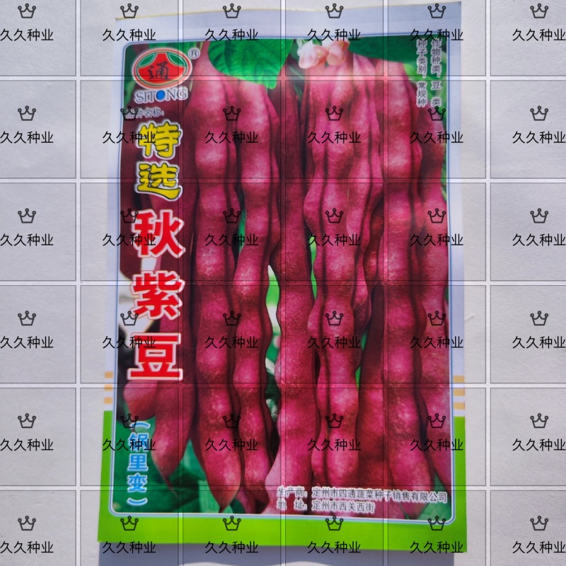秋紫豆豆角种子芸豆蔬菜种子红豆角锅里变色春秋播种
