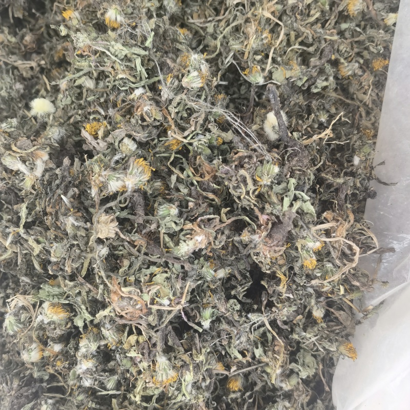 蒲公英，新货，全棵带根，关书药业批发中药材…