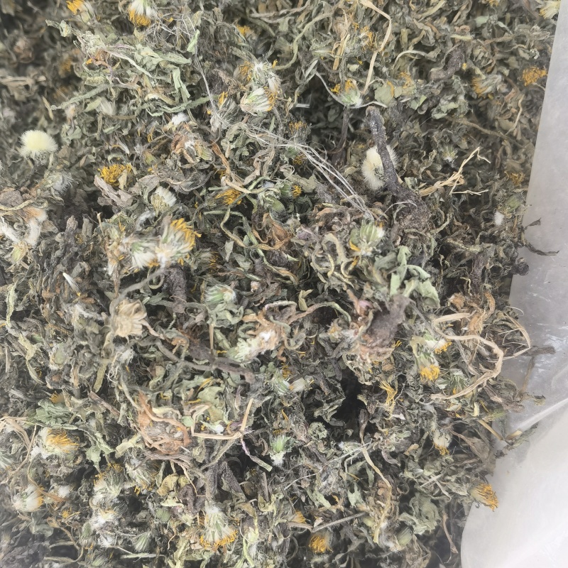 蒲公英，新货，全棵带根，关书药业批发中药材…