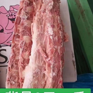 猪背骨