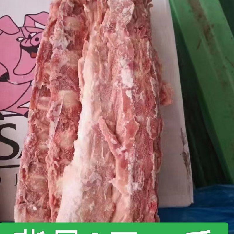猪背骨