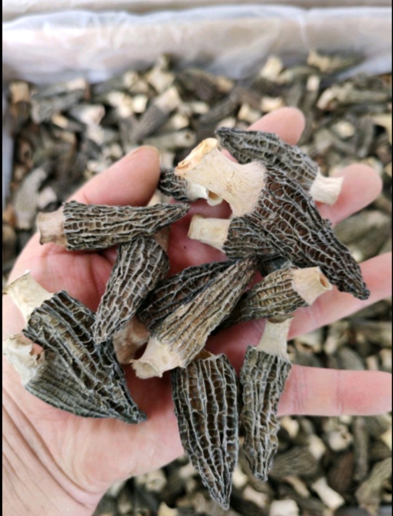 2024年羊肚菌干货500g包邮