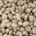 城固大棚土豆黄心沃土5号质量保证量大从优全国发货