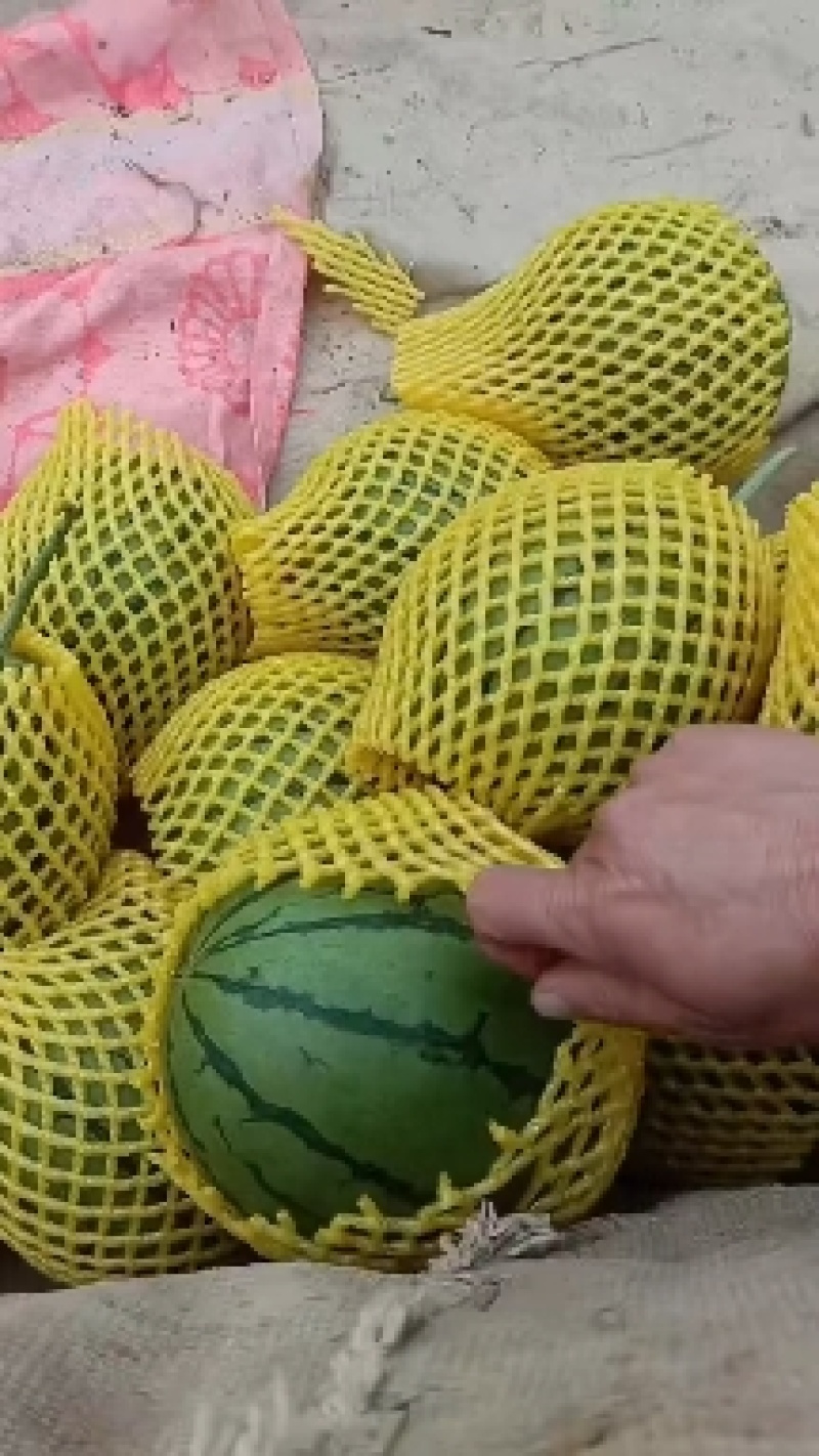 吊篮西瓜新鲜甜蜜，直供农场，**特惠，快来选购！