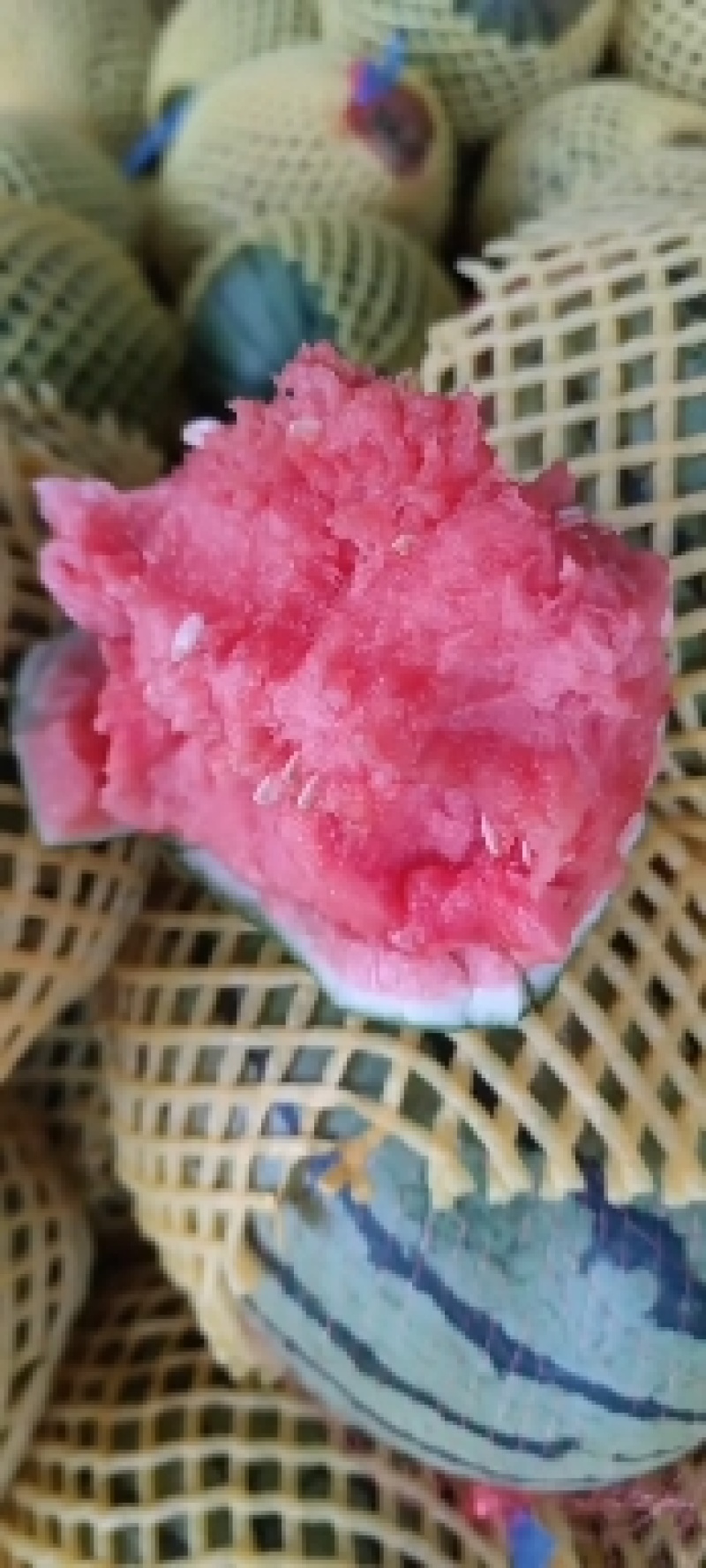 吊篮西瓜新鲜甜蜜，直供农场，**特惠，快来选购！
