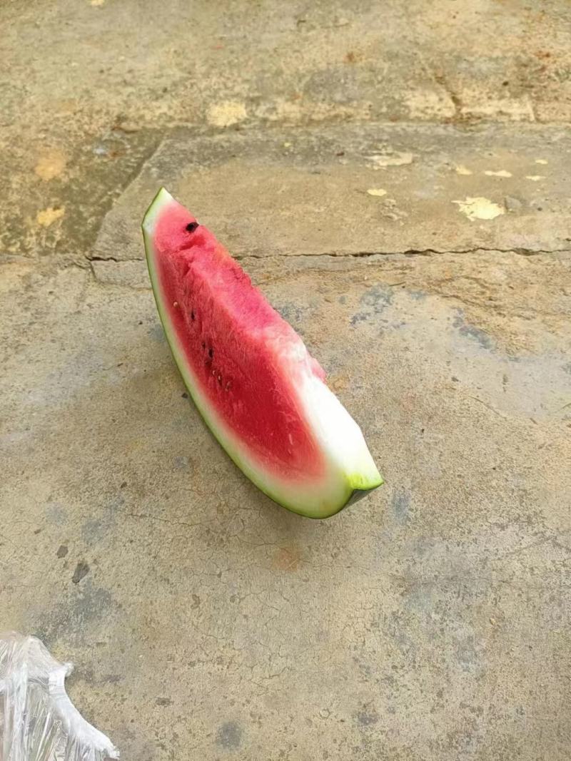西瓜黑美人