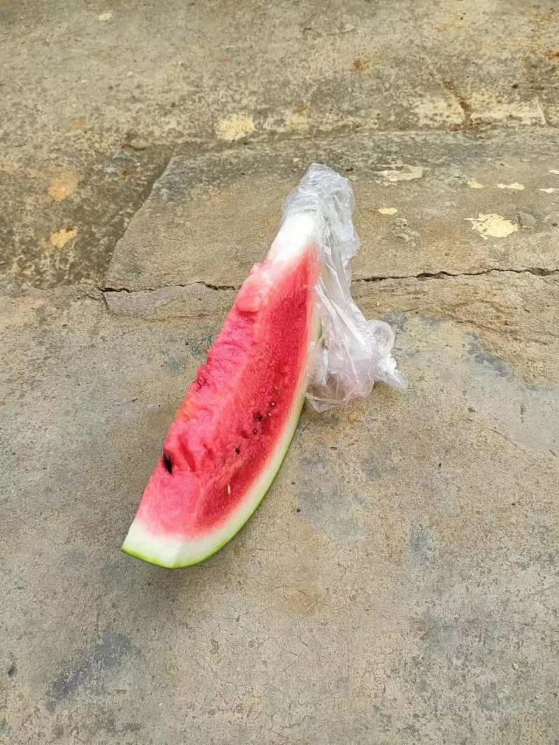 西瓜黑美人