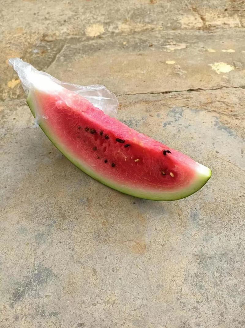 西瓜黑美人