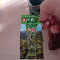 广东省惠州市博罗县柏塘镇山茶