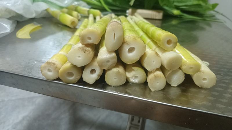 木竹笋