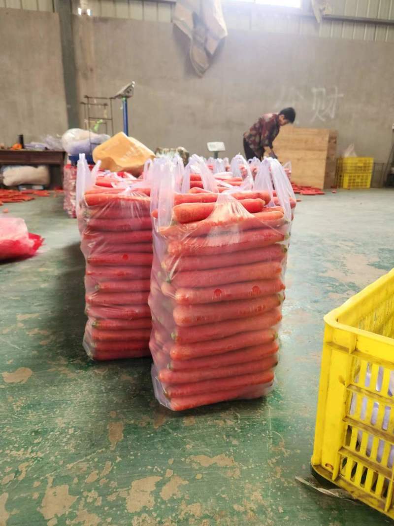 自产水洗红萝卜红得鲜艳心细脆甜