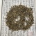 河南供应夏枯草夏枯草段散装统货产地货源中药材批发现货批发
