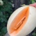 老家万亩甜瓜🍈大量供应：电商，市场，大型商超……