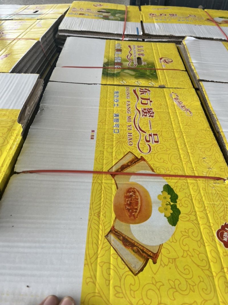 老家万亩甜瓜🍈大量供应：电商，市场，大型商超……