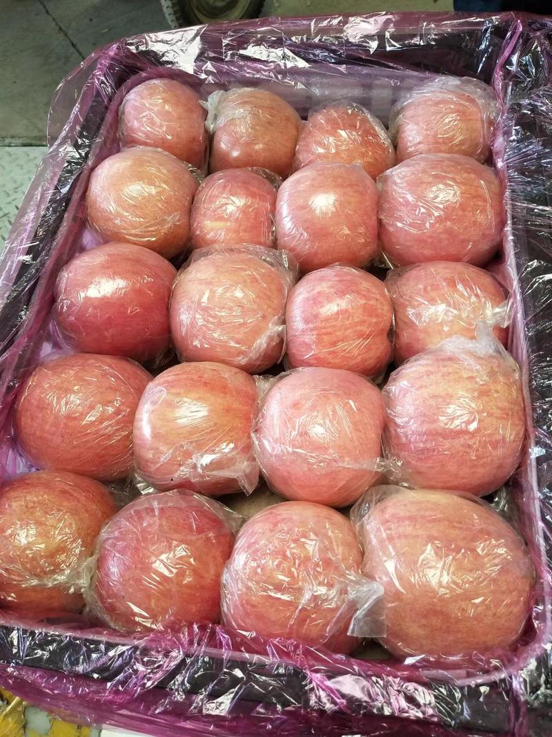精品苹果纸加膜红富士苹果产地直供型好果大价格低