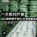 江西新大号荷叶整张天然干荷叶包饭荷叶粥叫花鸡糯荷叶批发