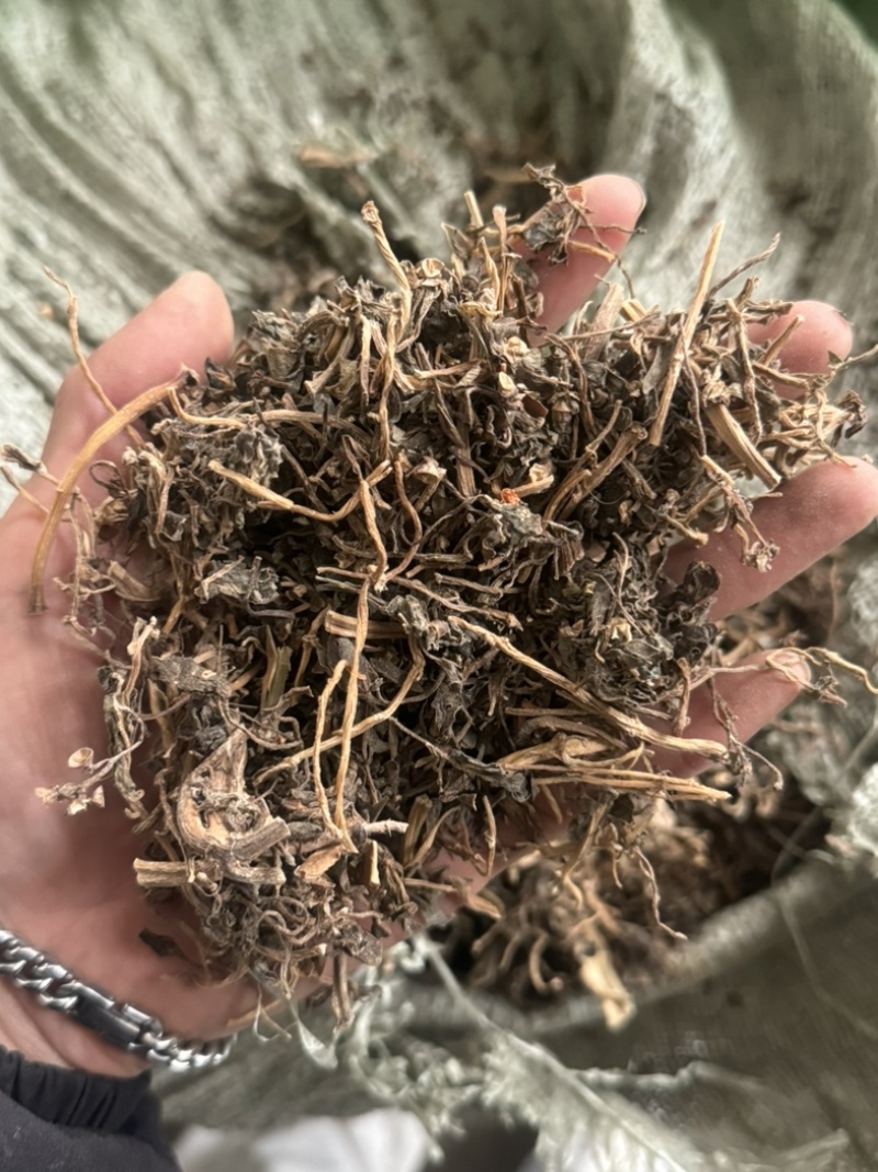 马齿笕马齿苋马蜂菜干货马齿笕过筛货不是干吃菜用！