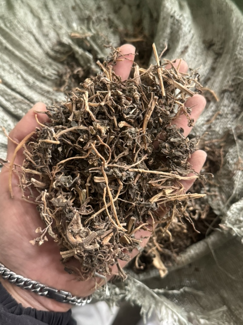 马齿笕马齿苋马蜂菜干货马齿笕过筛货不是干吃菜用！