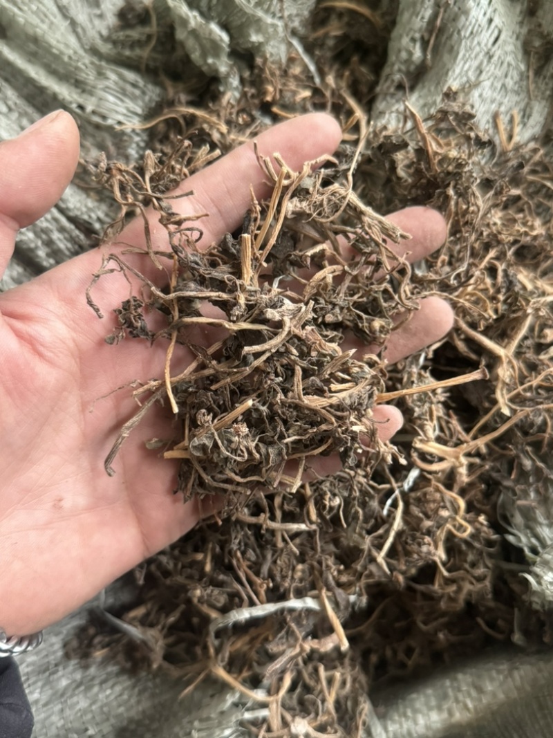 马齿笕马齿苋马蜂菜干货马齿笕过筛货不是干吃菜用！