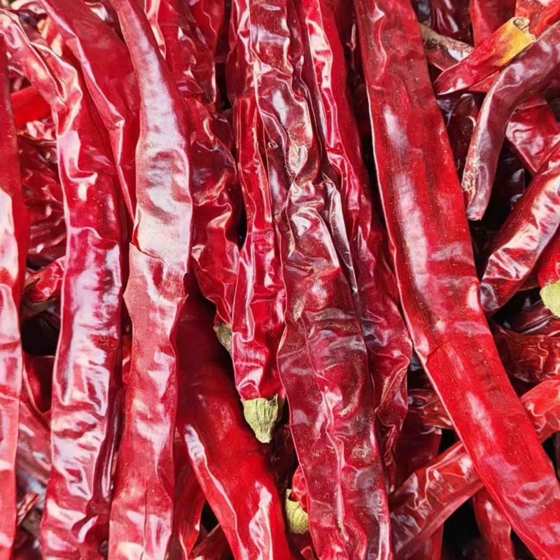 【味道正宗】贵州二荆条二荆条干辣椒可视频看货