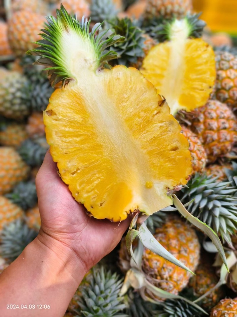 海南芒果凤梨