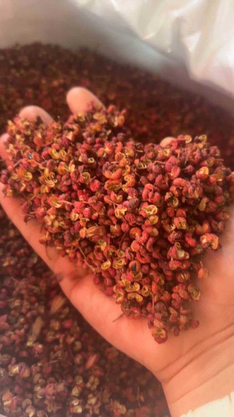 【新货上市】精品大红袍大红袍花椒质量保证欢迎下单
