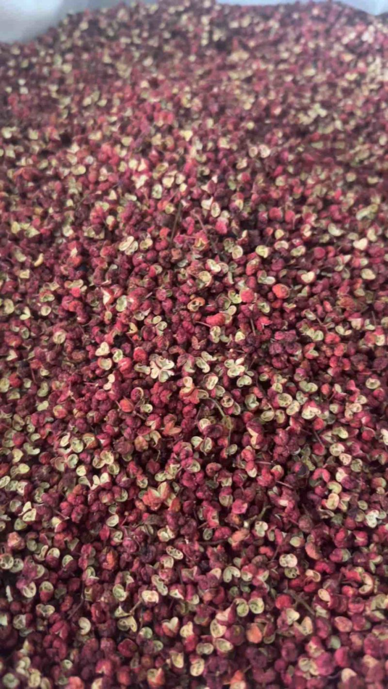 四川茂汶红麻椒花椒放心食用诚信经营欢迎抢购