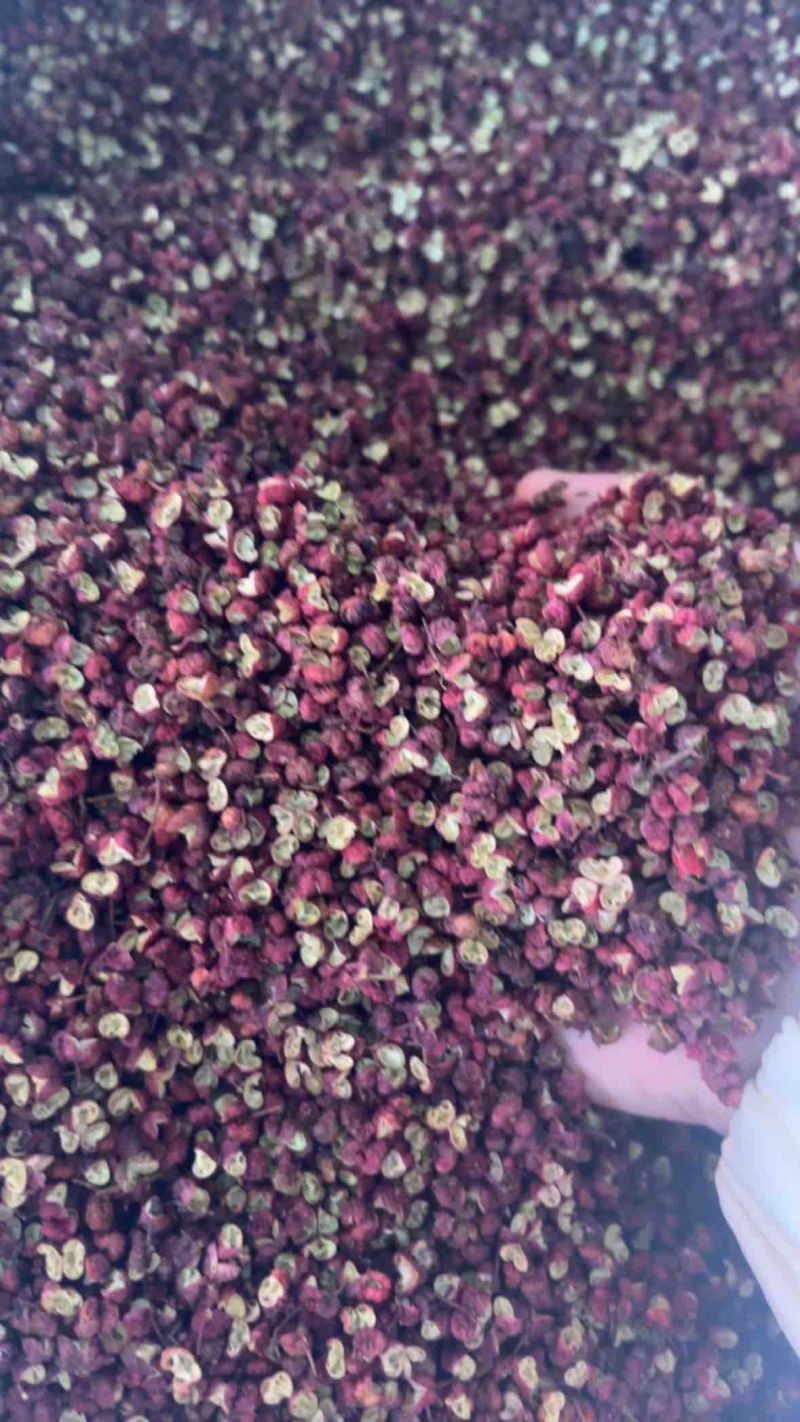 四川茂汶红麻椒花椒放心食用诚信经营欢迎抢购