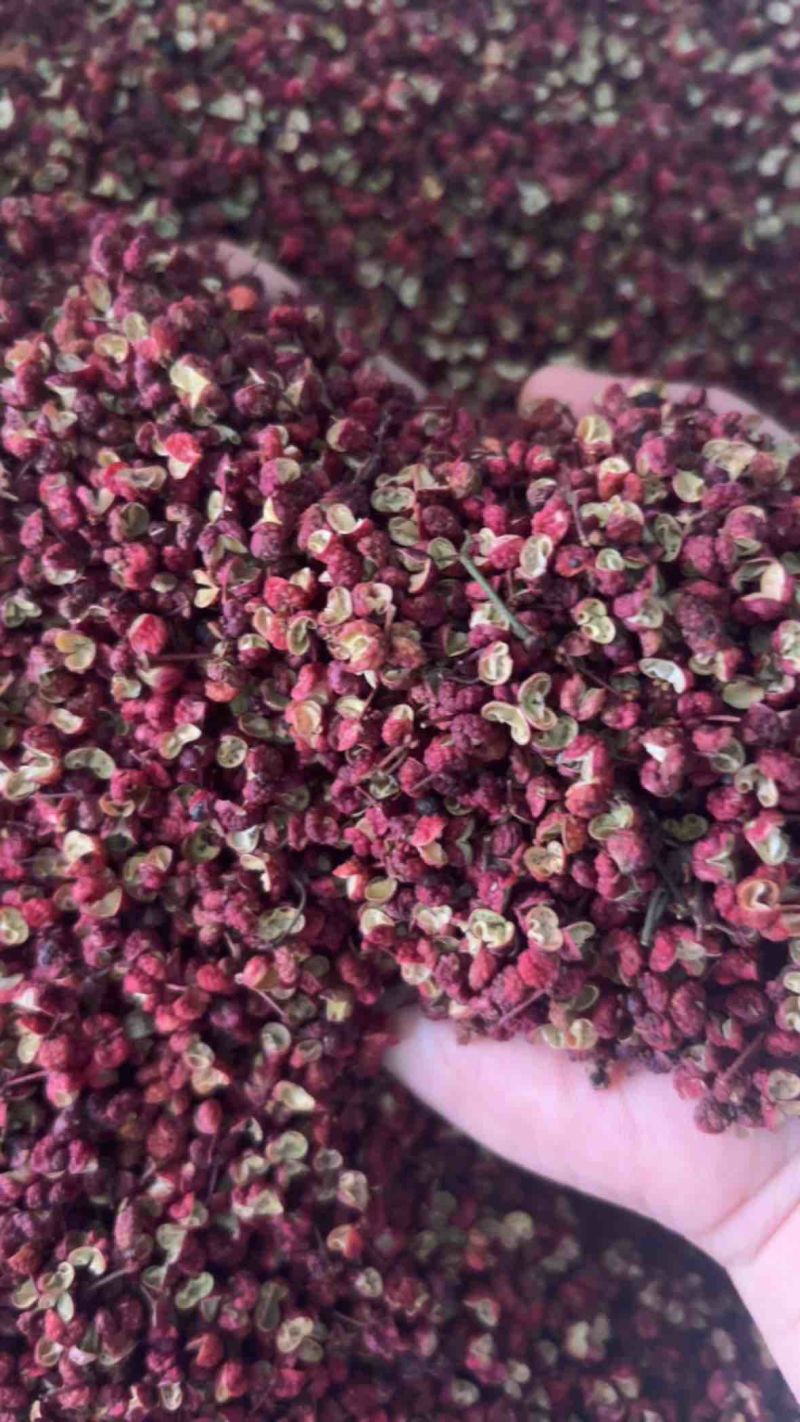 四川茂汶红麻椒花椒放心食用诚信经营欢迎抢购