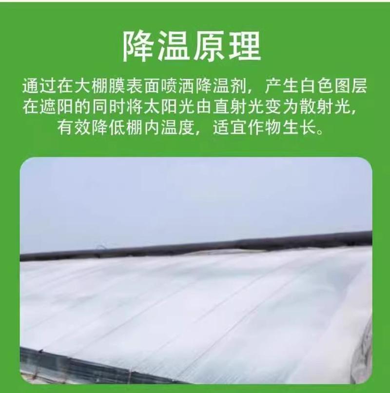 立凉大棚降温剂高效温室降温剂加强型进口农用遮阳剂降温大棚