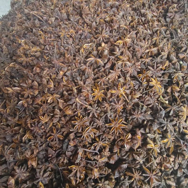 无硫八角，大红八角，源头厂家，现货直发，品质保证