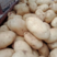 【土豆】云南丽薯六号土豆大量上市中产地直发量大从优