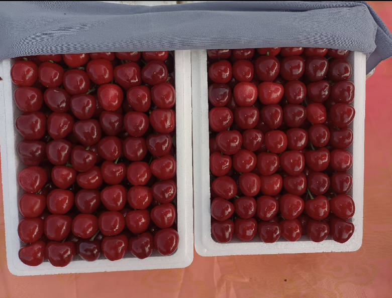 美早樱桃与其他水果拼盘