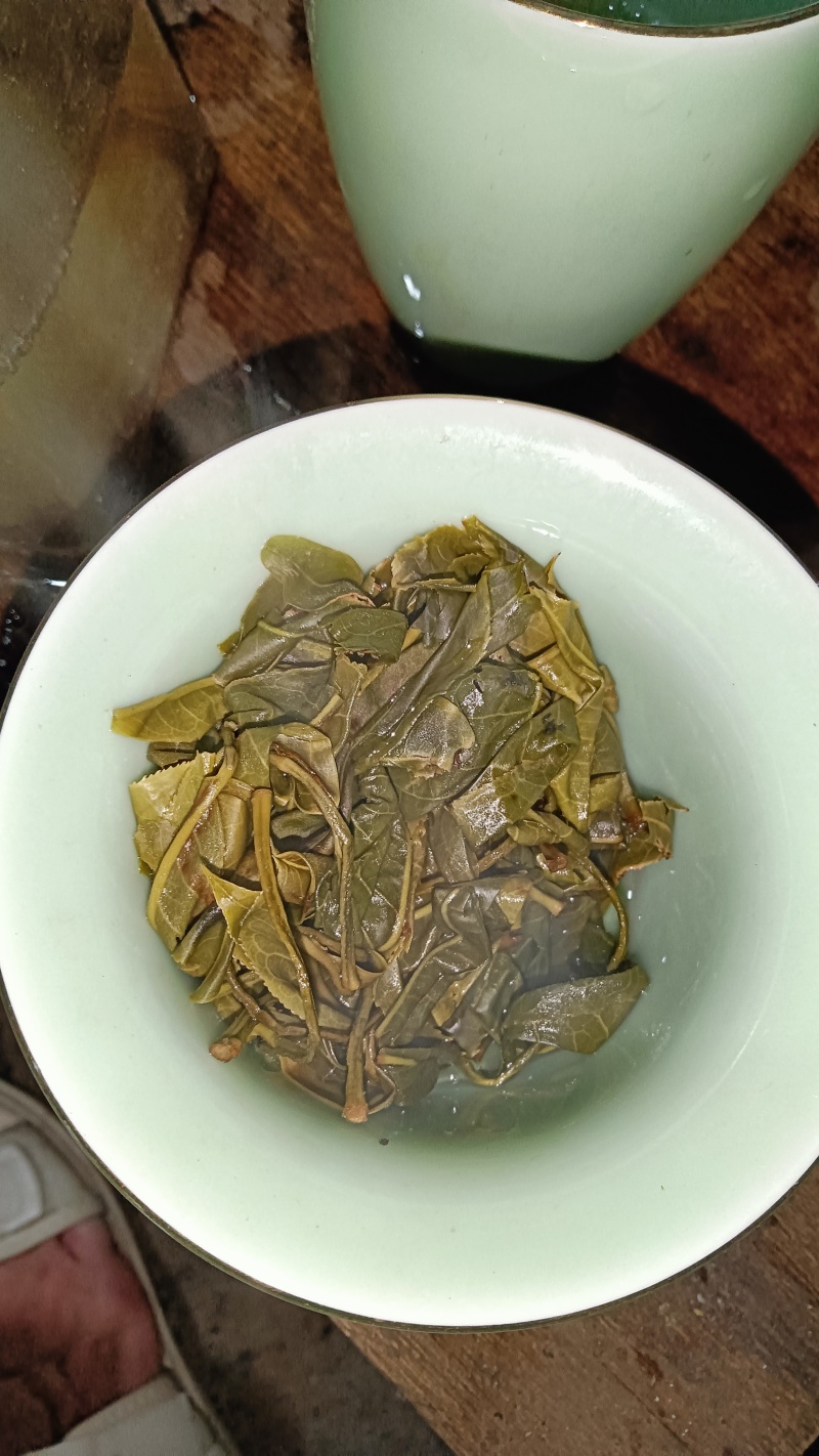 古树茶
